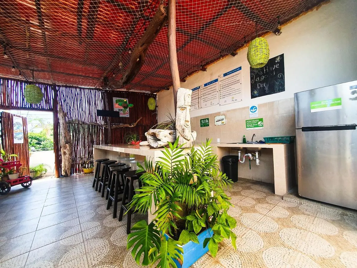 Hostelito Chetumal Hotel + Hostal 0*,  Mexico